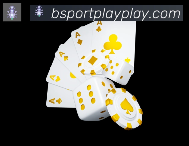 Bsports官网品牌故事